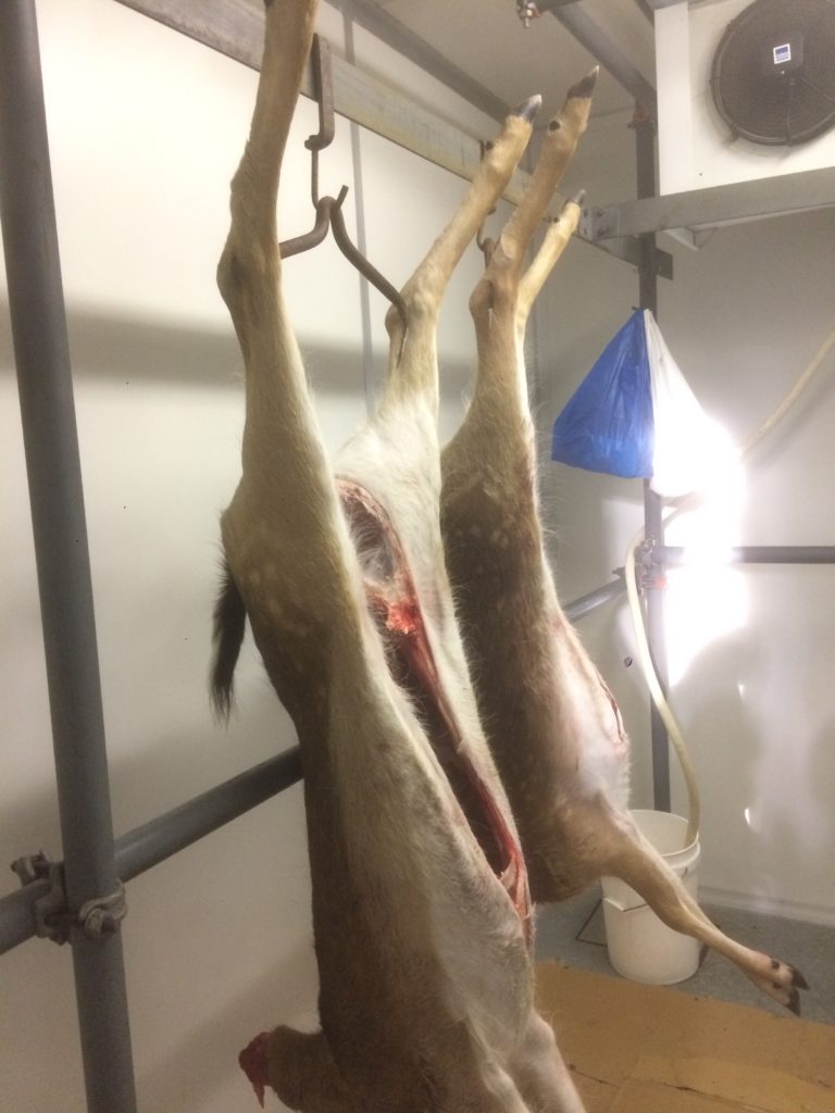 Precision Defence Industries | PDI