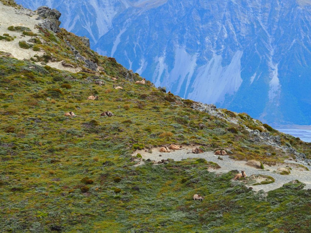 Precision Defence Industries | PDI