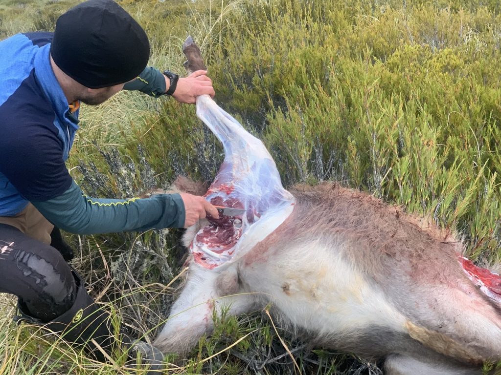 Precision Defence Industries | PDI