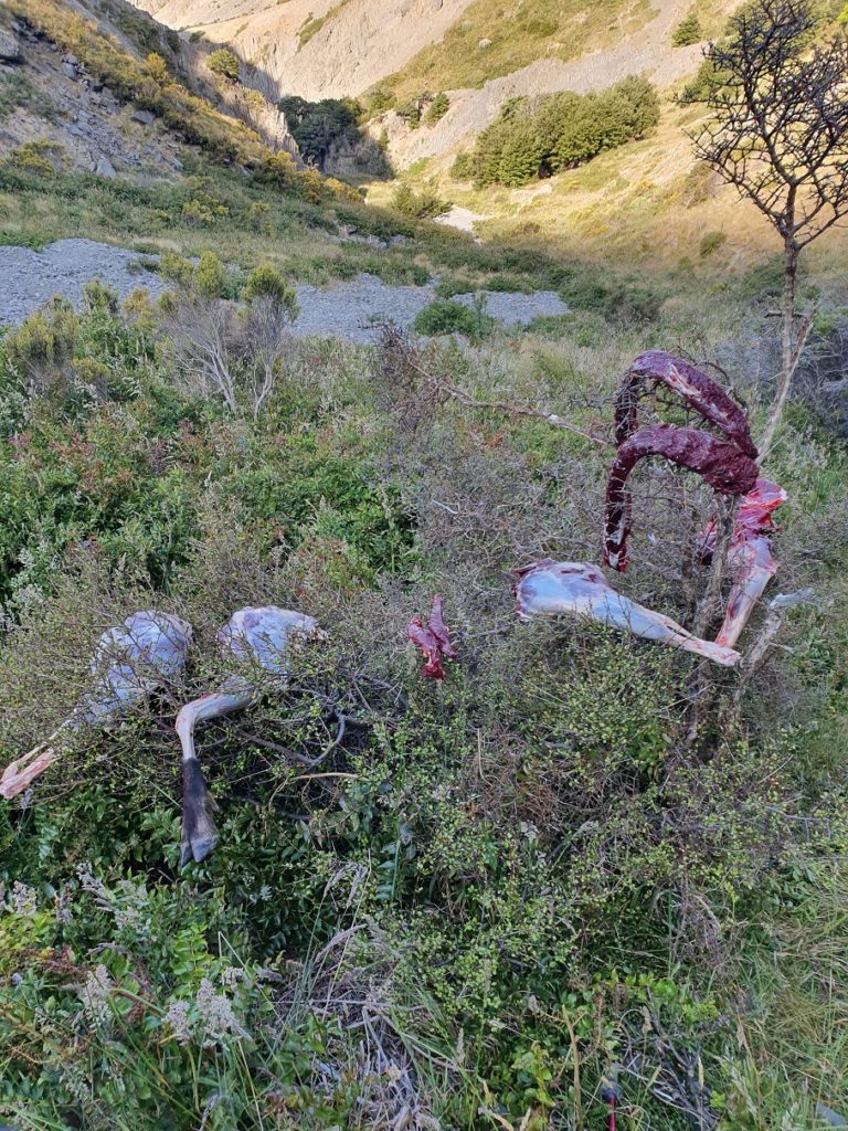 Precision Defence Industries | PDI