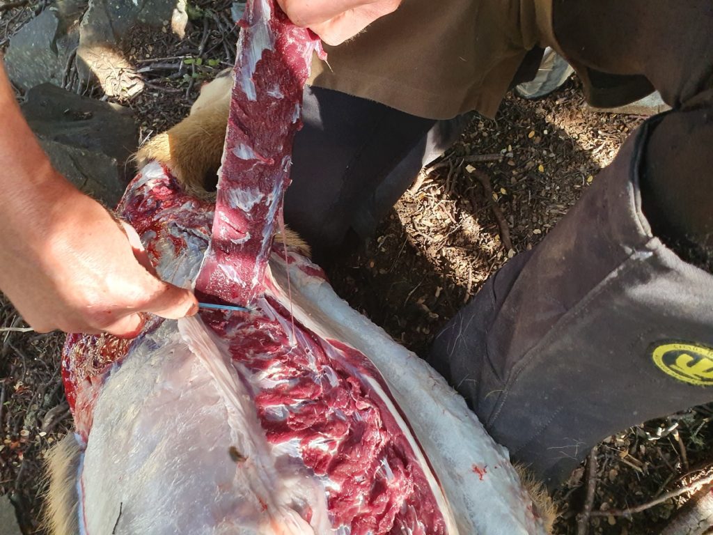 Precision Defence Industries | PDI