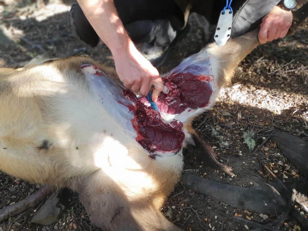 Precision Defence Industries | PDI