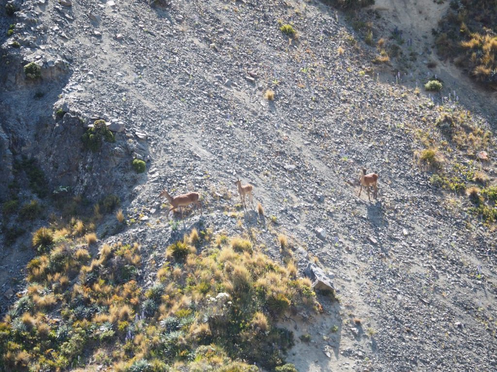 Precision Defence Industries | PDI