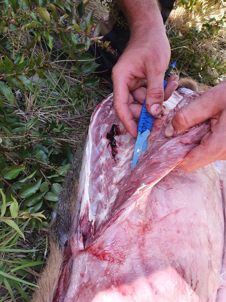 Precision Defence Industries | PDI