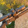delta stryker 3.5-21x44